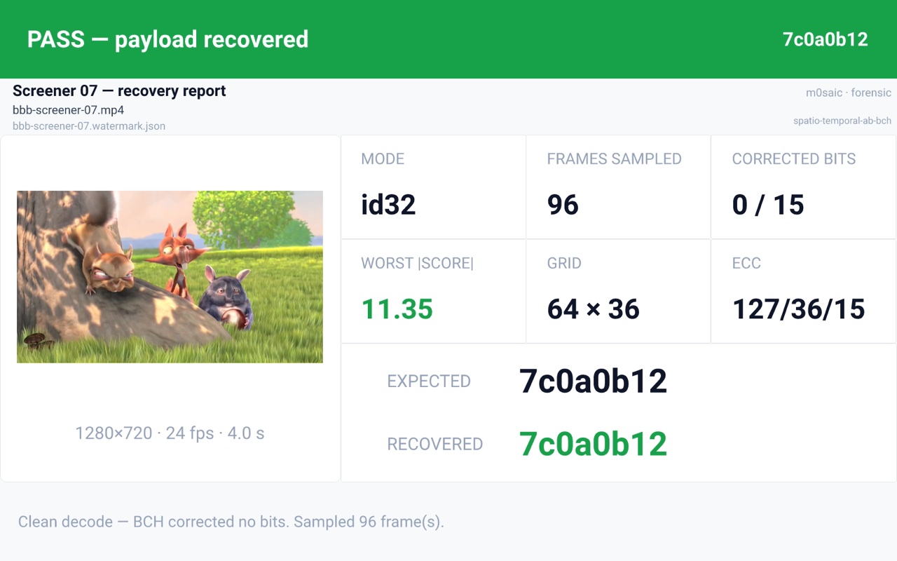 The verify template's report card: PASS, payload 7c0a0b12 recovered, 0 of 15 bits corrected