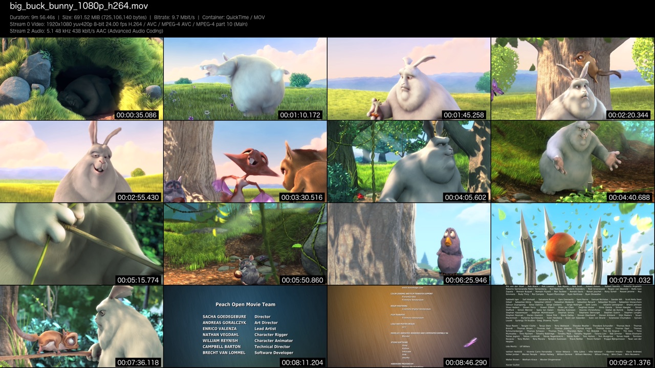 A contact sheet of Big Buck Bunny — ffprobe info pane above a 4×4 grid of timestamped frames